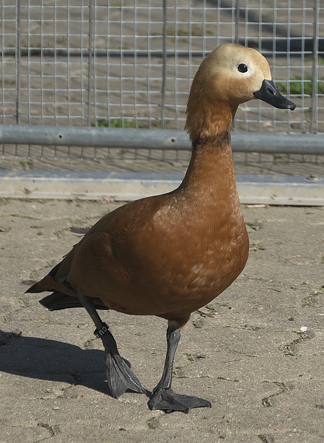 与稳定