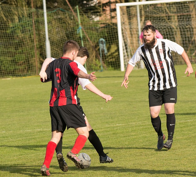 举办一次的 举办一次的