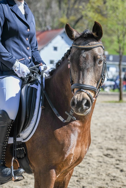 联盟强队 联盟强队