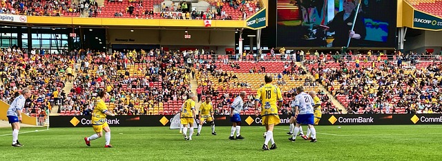 的成功因素 的成功因素