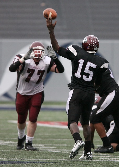 备相结合是 备相结合是