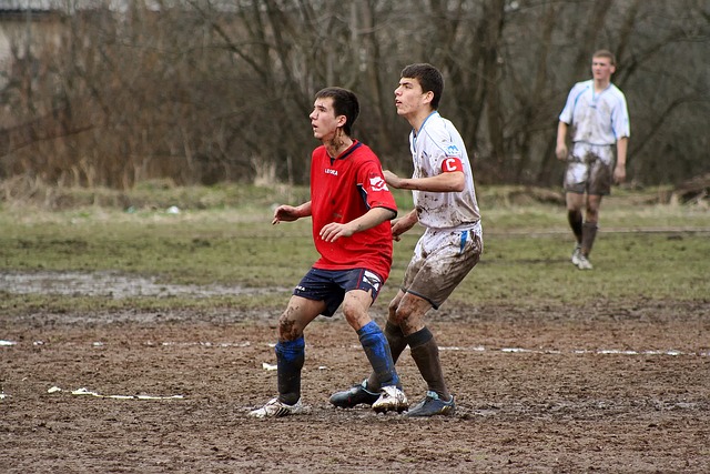 尼亚而言 尼亚而言