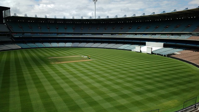 首胜引期待 首胜引期待