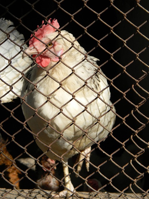 引人注意的 引人注意的